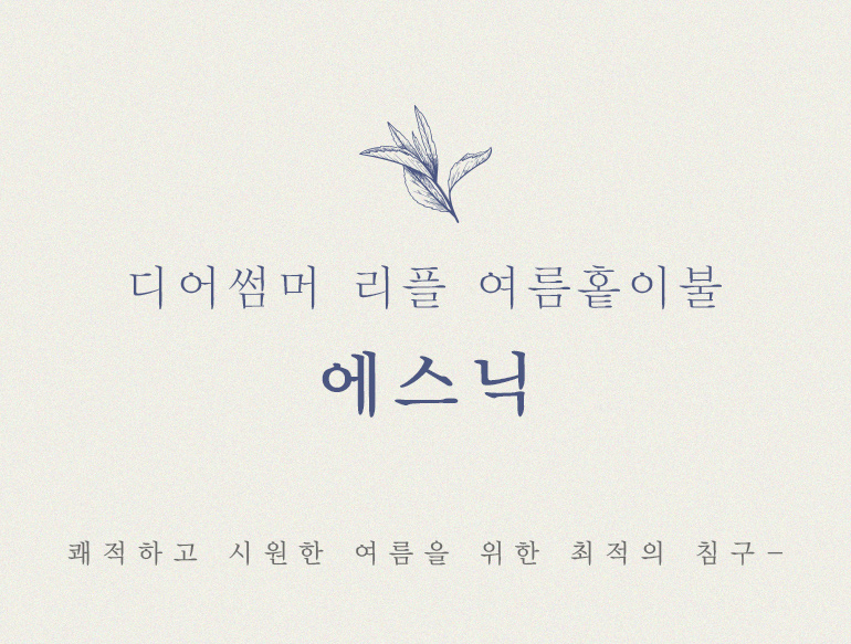 에스닉홑넘버링