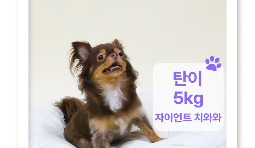 상품의 상세 설명 이미지