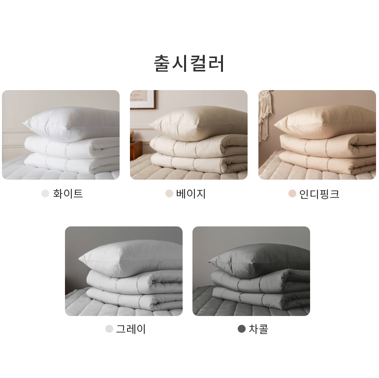 출시컬러