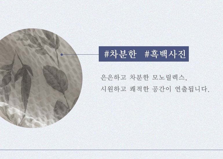모노릴렉스1