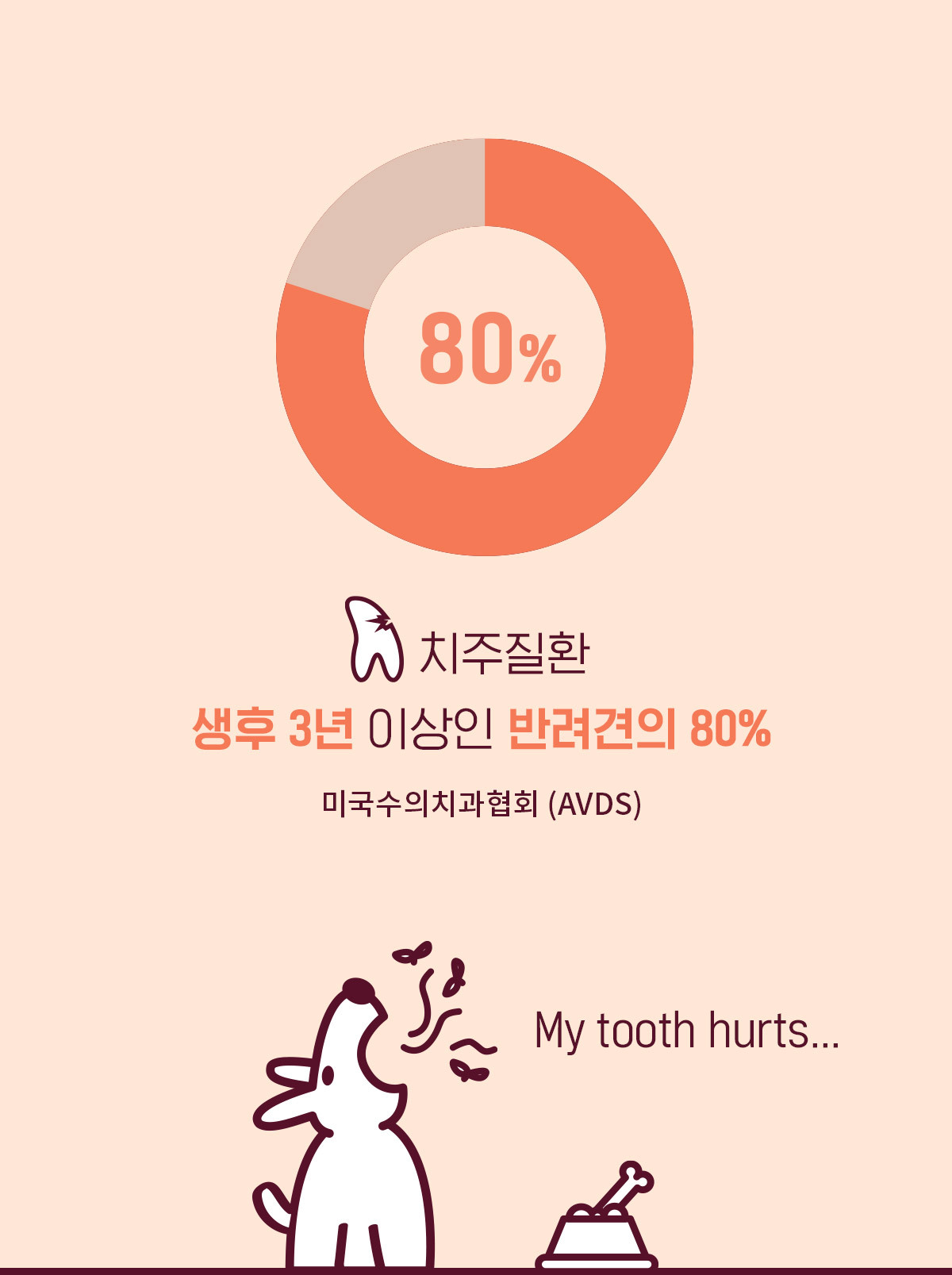 간식/수제간식 > 아르르 덴탈 토이츄 | 집꾸미기 정보부터 구매까지 오늘의집 스토어 아르르 덴탈 토이츄