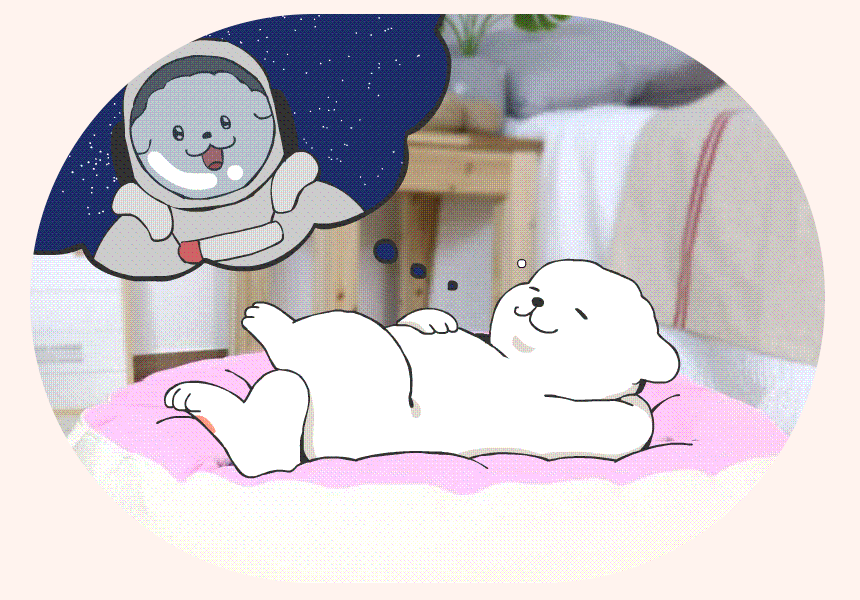 상품의 상세 설명 이미지