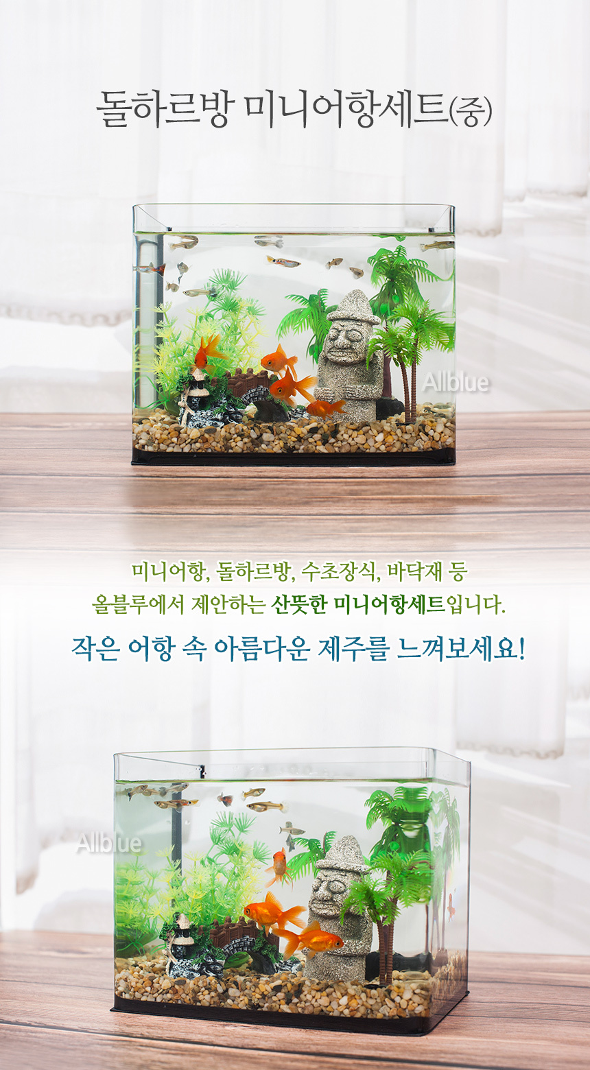 어항·수조 > 돌하르방 미니어항세트(중) 유리 수족관세트 | 오늘의집 쇼핑 돌하르방 미니어항세트(중) 유리 수족관세트