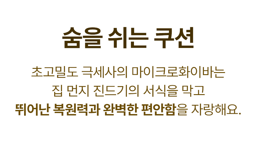 상품의 상세 설명 이미지