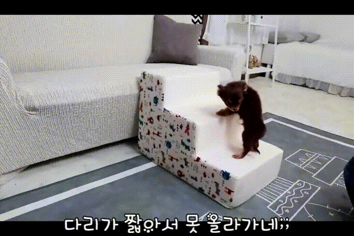 상품의 상세 설명 이미지