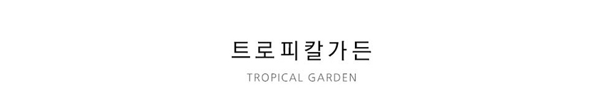 상품의 상세 설명 이미지