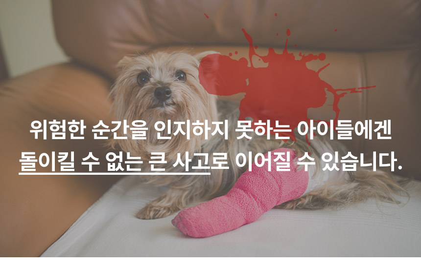 상품의 상세 설명 이미지