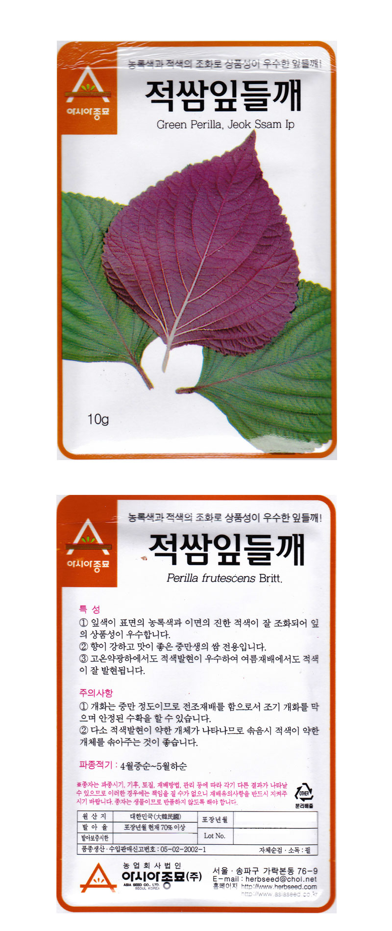식물 > 적쌈잎들깨씨앗 10g 깻잎씨앗 | 오늘의집 쇼핑