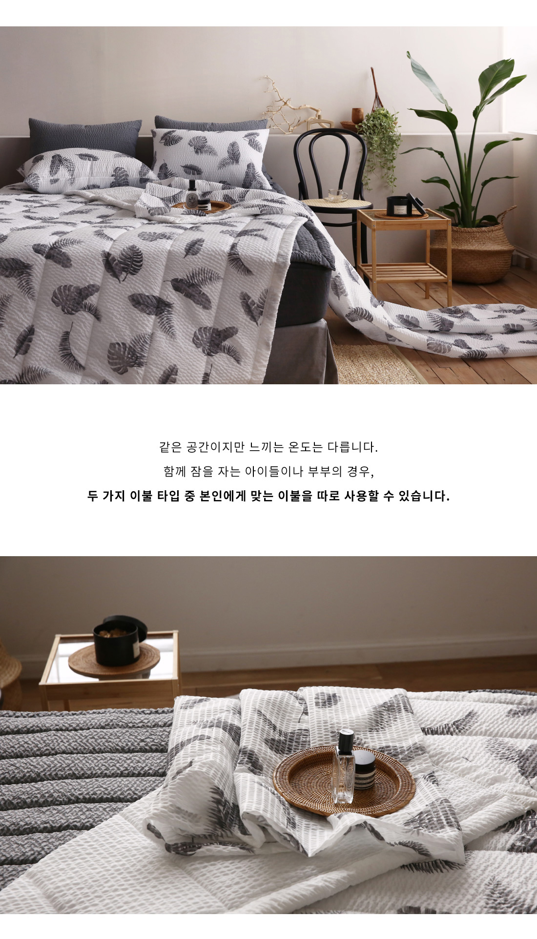 트로피칼블랙4