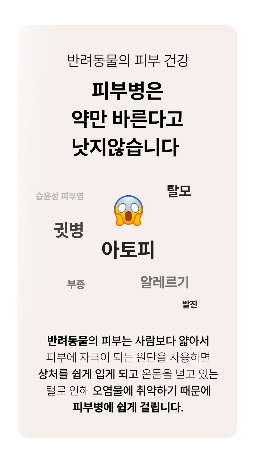 상품의 상세 설명 이미지