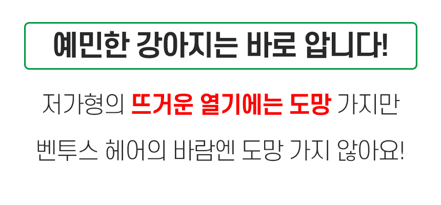 상품의 상세 설명 이미지