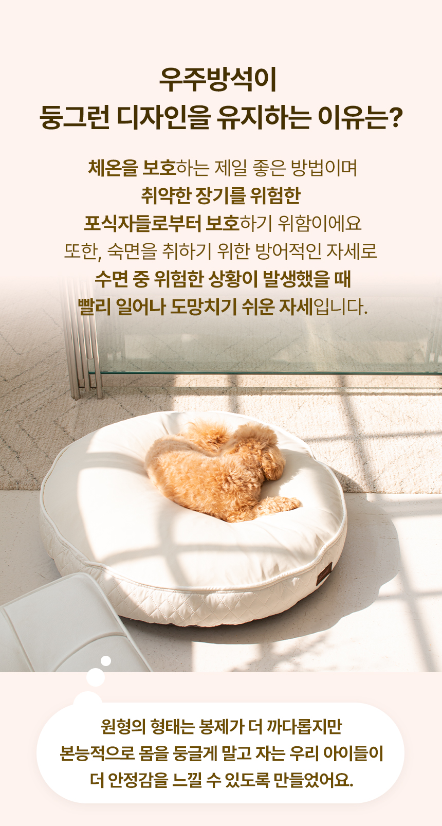 상품의 상세 설명 이미지