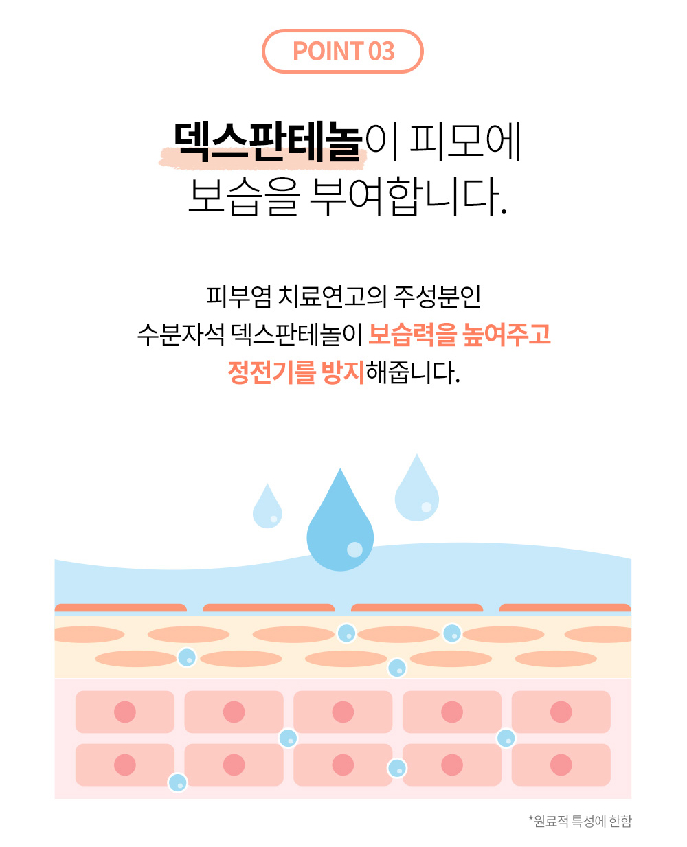 상품의 상세 설명 이미지