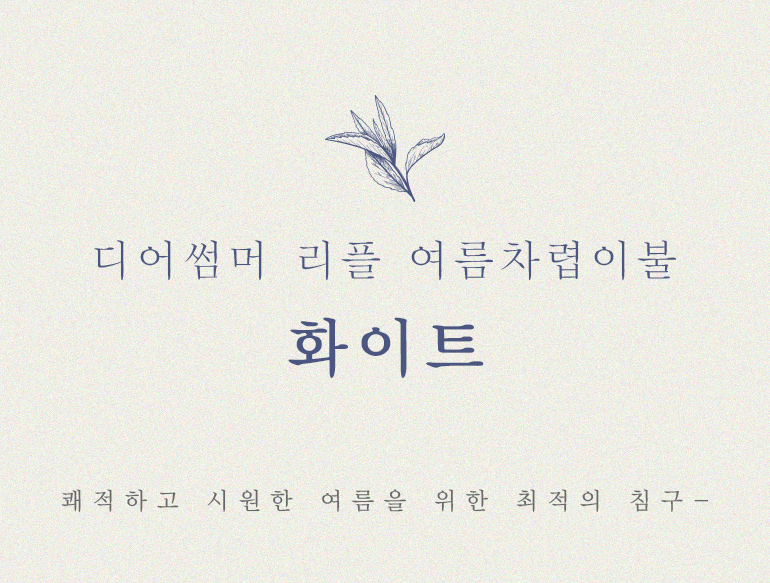 무지화이트차렵